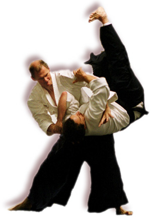 Michael Sheahon Sensei