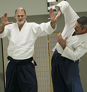 Michael Sheahon
          Sensei